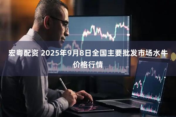 宏粤配资 2025年9月8日全国主要批发市场水牛价格行情