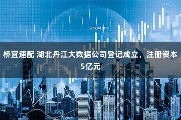 桥宜速配 湖北丹江大数据公司登记成立，注册资本5亿元