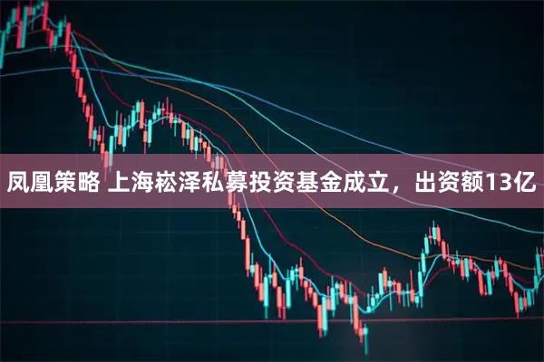 凤凰策略 上海崧泽私募投资基金成立，出资额13亿