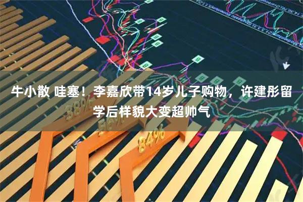 牛小散 哇塞！李嘉欣带14岁儿子购物，许建彤留学后样貌大变超帅气