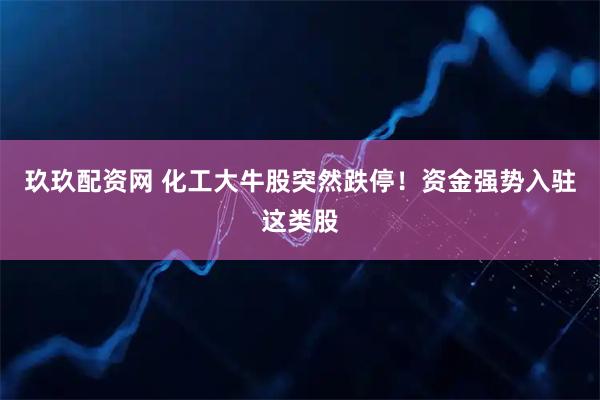 玖玖配资网 化工大牛股突然跌停！资金强势入驻这类股