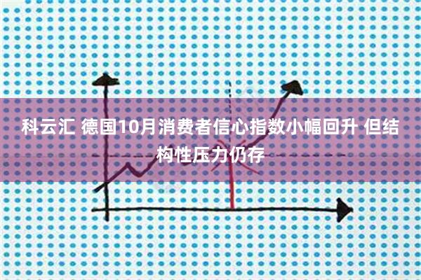 科云汇 德国10月消费者信心指数小幅回升 但结构性压力仍存