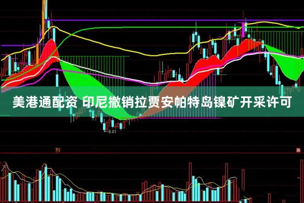 美港通配资 印尼撤销拉贾安帕特岛镍矿开采许可