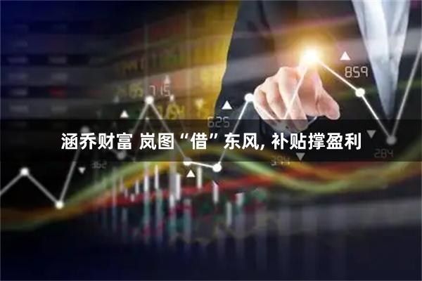 涵乔财富 岚图“借”东风, 补贴撑盈利