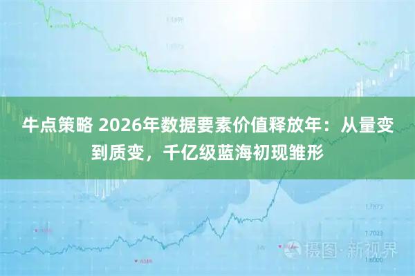 牛点策略 2026年数据要素价值释放年：从量变到质变，千亿级蓝海初现雏形