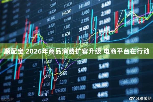 顺配宝 2026年商品消费扩容升级 电商平台在行动