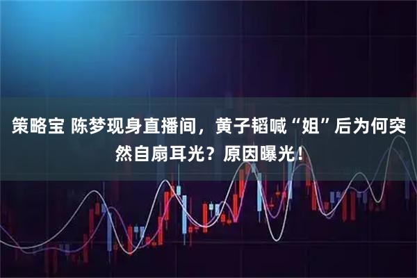 策略宝 陈梦现身直播间，黄子韬喊“姐”后为何突然自扇耳光？原因曝光！