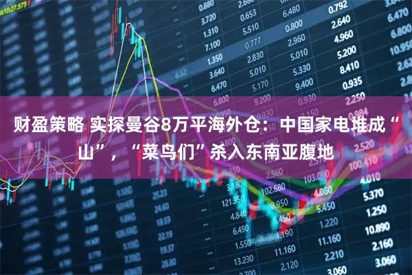 财盈策略 实探曼谷8万平海外仓：中国家电堆成“山”，“菜鸟们”杀入东南亚腹地