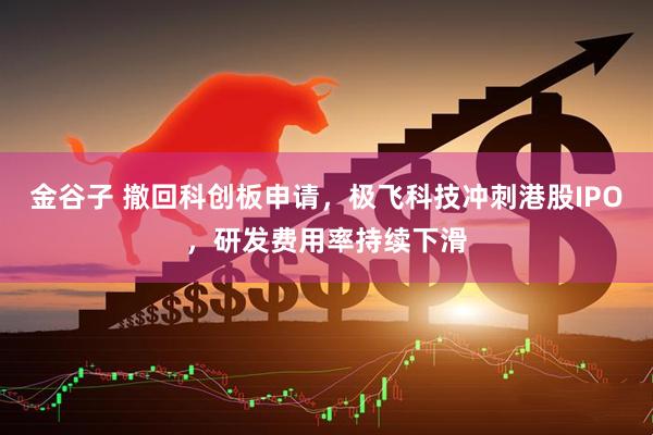 金谷子 撤回科创板申请，极飞科技冲刺港股IPO，研发费用率持续下滑
